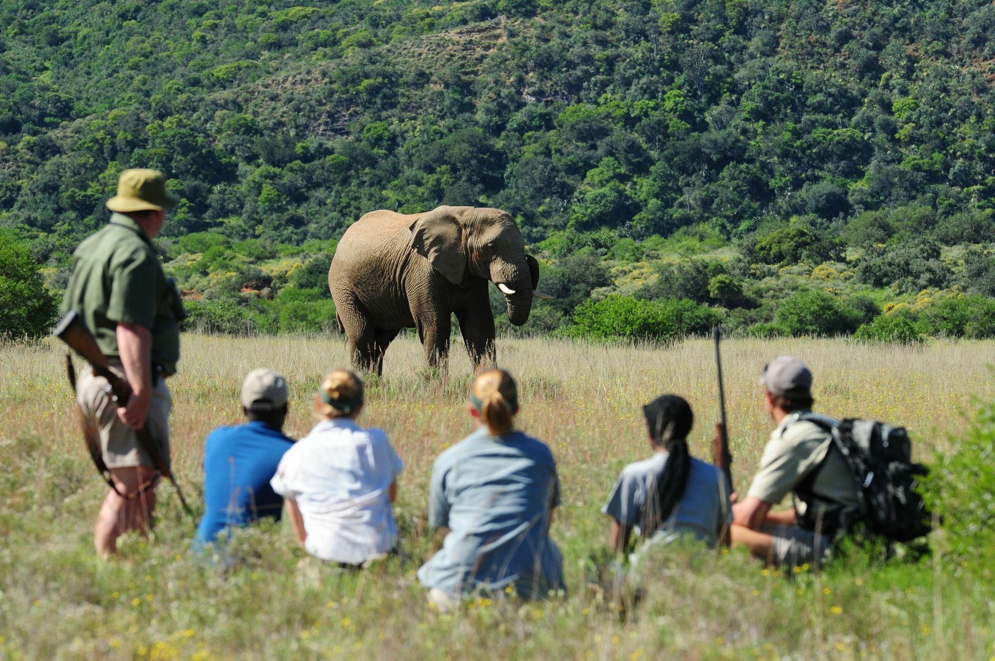 Shamwari Game Reserve Port Elizabeth Dış mekan fotoğraf